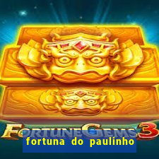 fortuna do paulinho do roupa nova