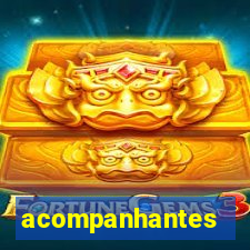 acompanhantes gordinhas santos