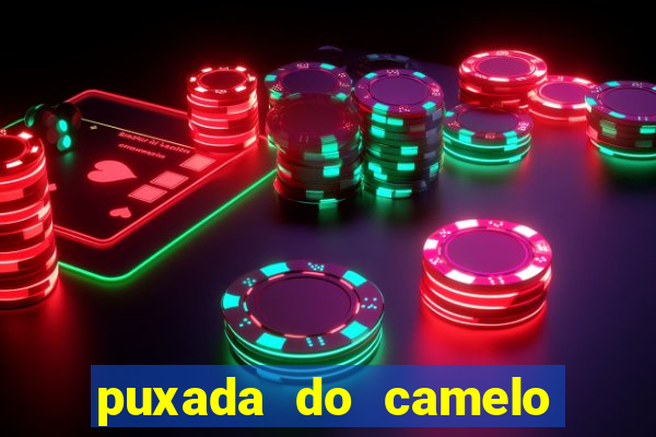 puxada do camelo no jogo do bicho