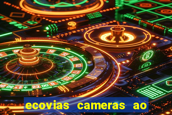 ecovias cameras ao vivo santos