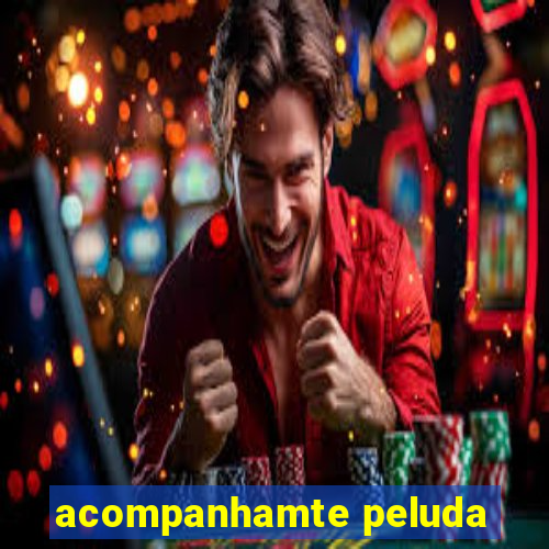 acompanhamte peluda