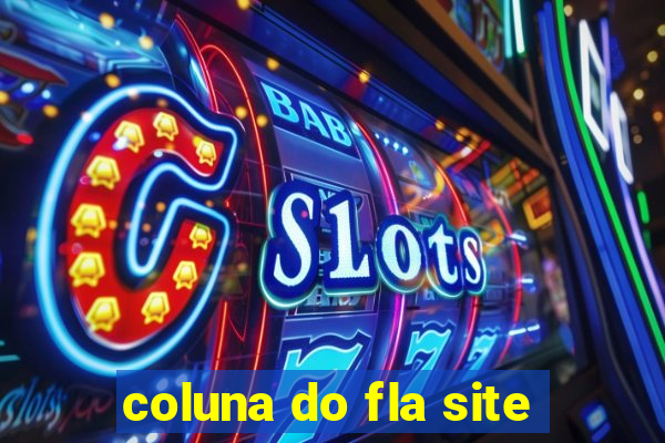 coluna do fla site