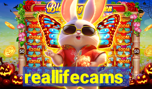 reallifecams