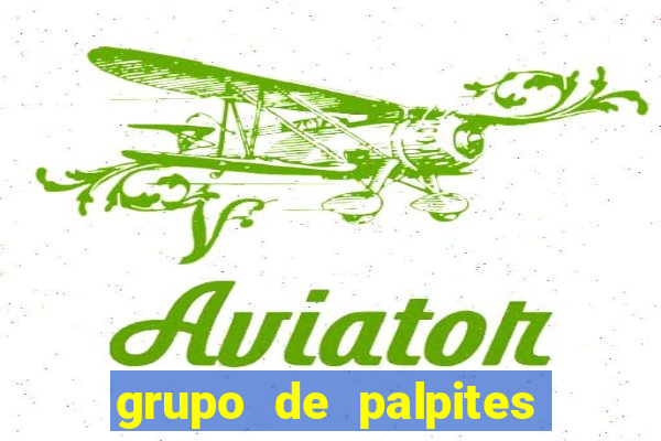 grupo de palpites de futebol telegram