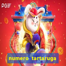 numero tartaruga jogo do bicho