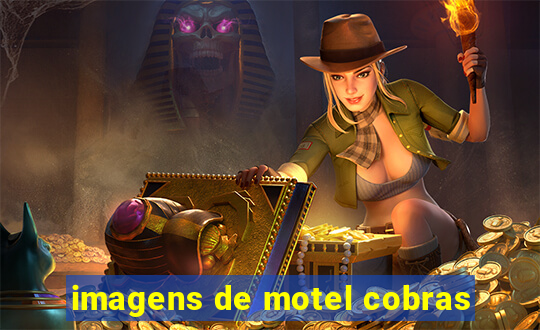 imagens de motel cobras