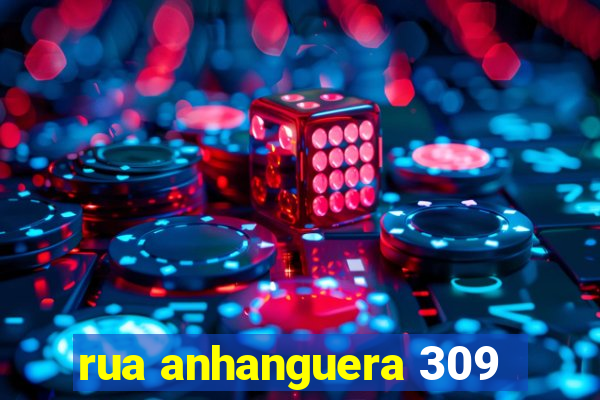 rua anhanguera 309