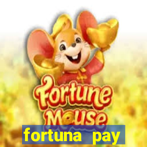 fortuna pay consultoria financeira ltda