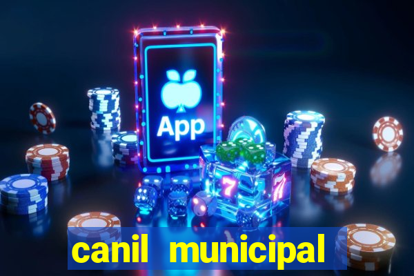 canil municipal porto alegre