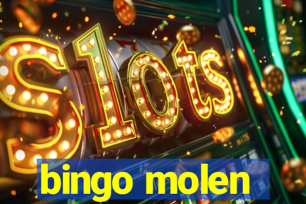 bingo molen