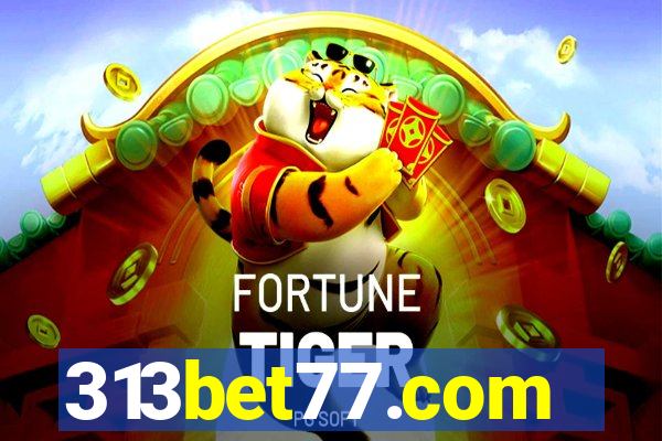 313bet77.com