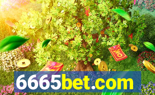 6665bet.com