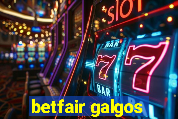 betfair galgos