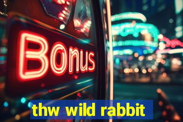 thw wild rabbit