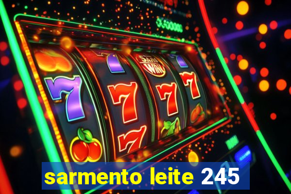 sarmento leite 245