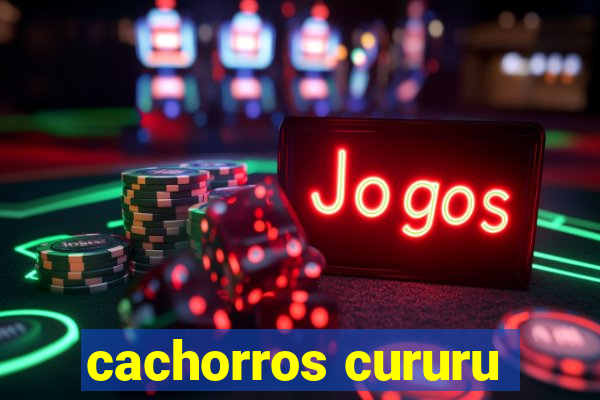 cachorros cururu