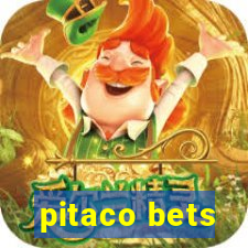 pitaco bets