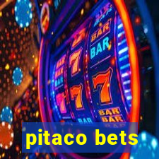 pitaco bets