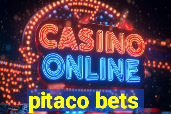 pitaco bets