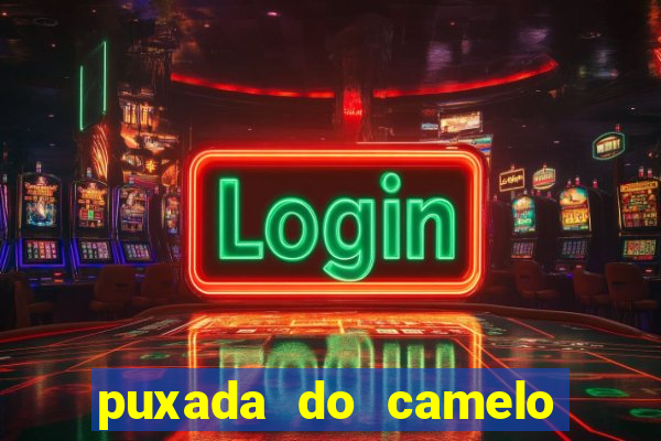 puxada do camelo jogo do bicho