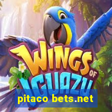 pitaco bets.net