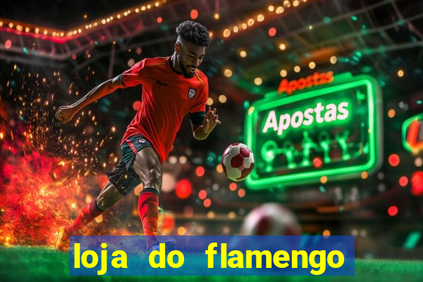 loja do flamengo em teresina