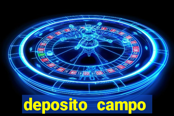 deposito campo grande santos