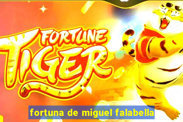 fortuna de miguel falabella