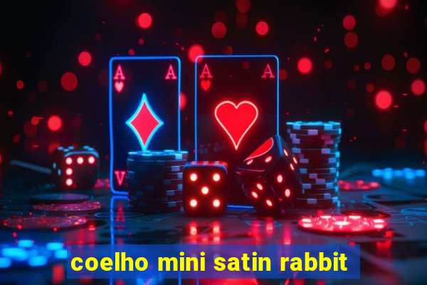 coelho mini satin rabbit