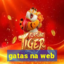 gatas na web