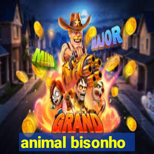 animal bisonho