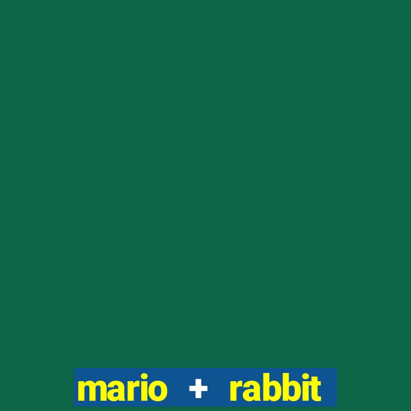 mario + rabbit kingdom battle