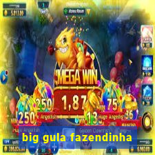 big gula fazendinha