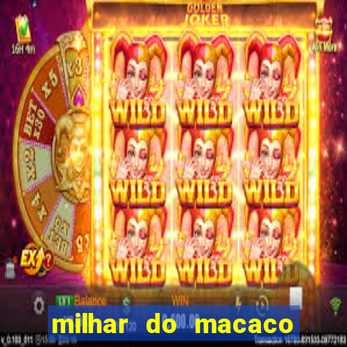 milhar do macaco que mais saem no jogo do bicho