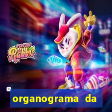 organograma da cacau show