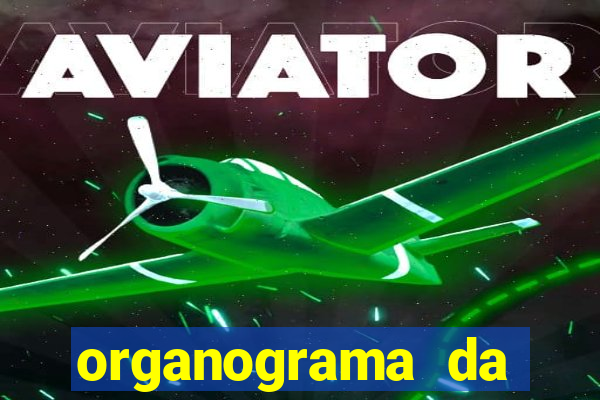 organograma da cacau show