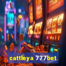 cattleya 777bet