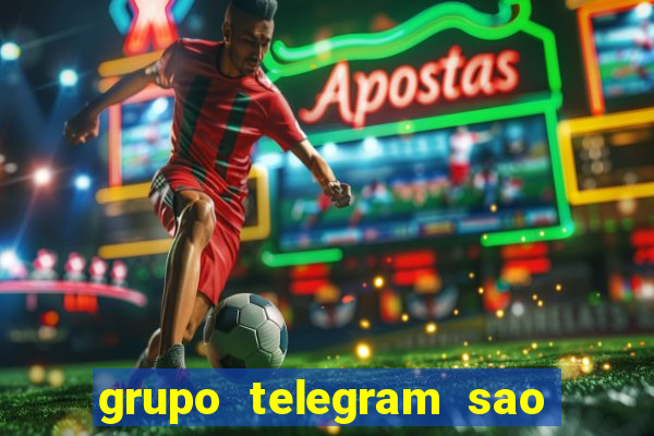 grupo telegram sao jose do rio preto