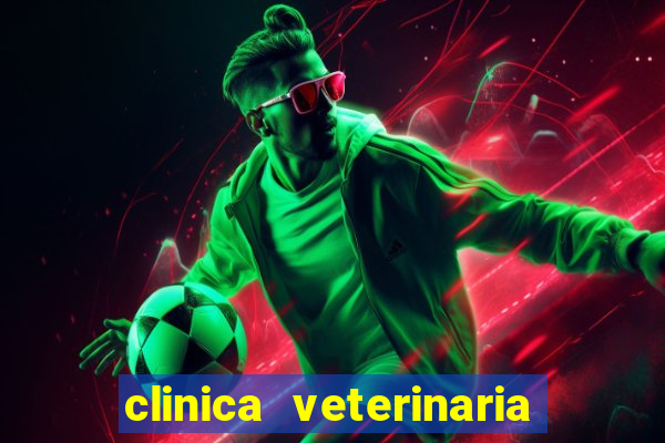 clinica veterinaria cuidar betim