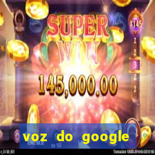 voz do google tradutor homem