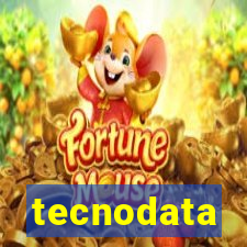 tecnodata