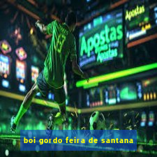 boi gordo feira de santana