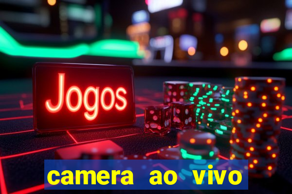 camera ao vivo terminal vila nova cachoeirinha