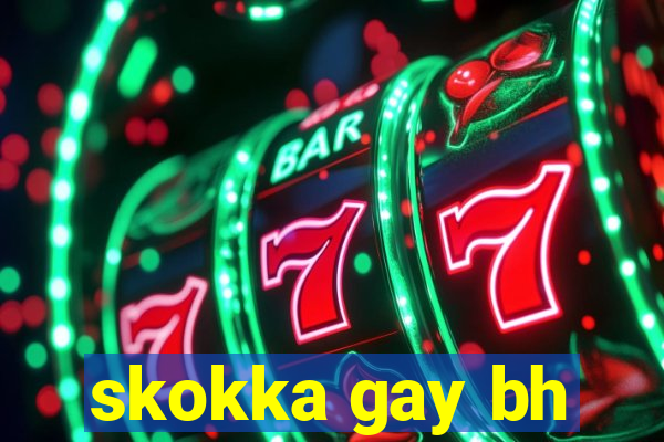 skokka gay bh