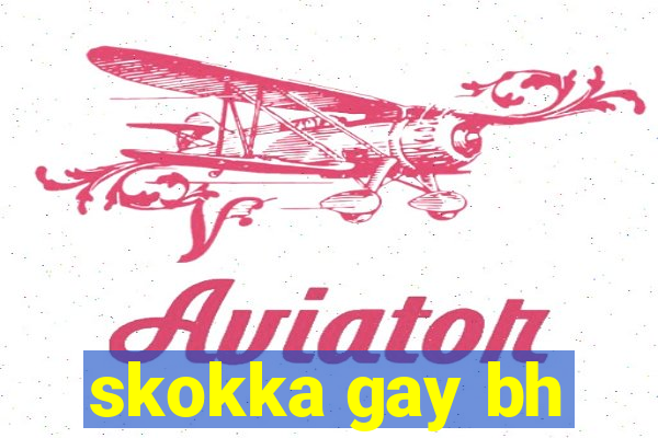 skokka gay bh