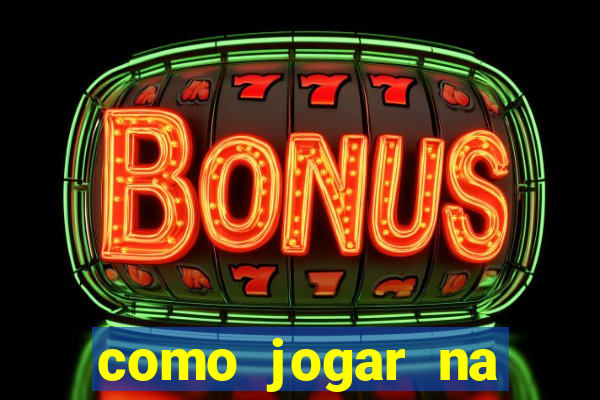 como jogar na lotinha do jogo do bicho