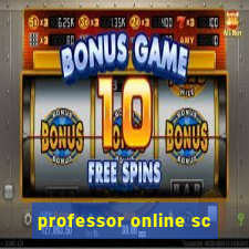 professor online sc