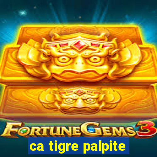 ca tigre palpite