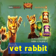 vet rabbit