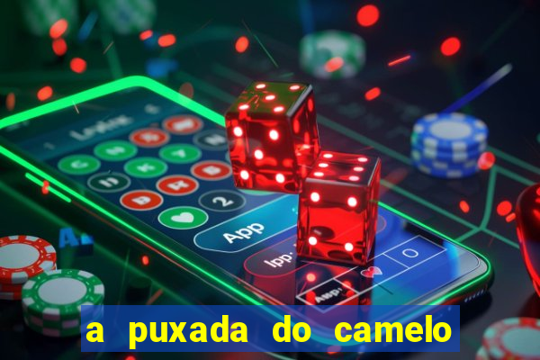 a puxada do camelo no jogo do bicho